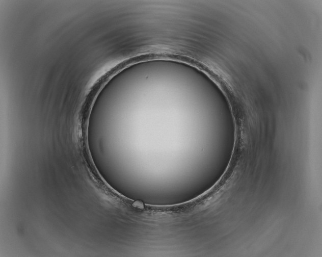 X0000112361070200908131451