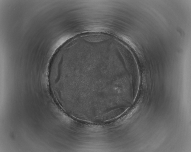 X0000112361071200908131451