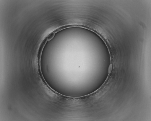 X0000112361072200908131451