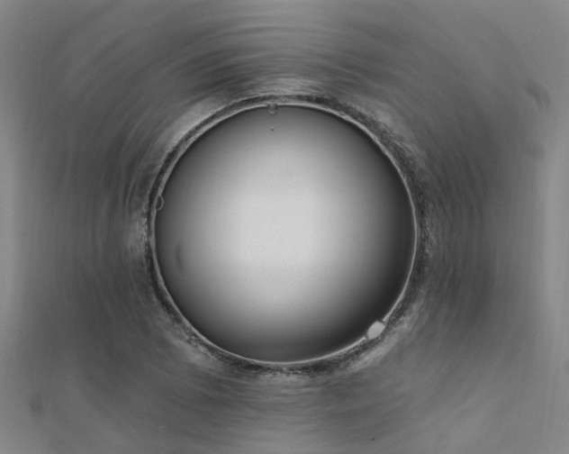 X0000112361073200908131451