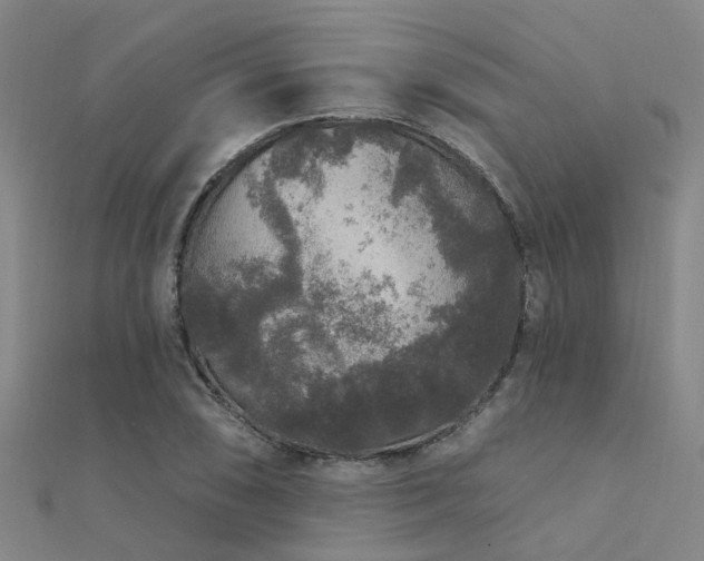 X0000112361074200908131451