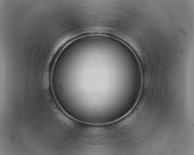 X0000112361075200908131451