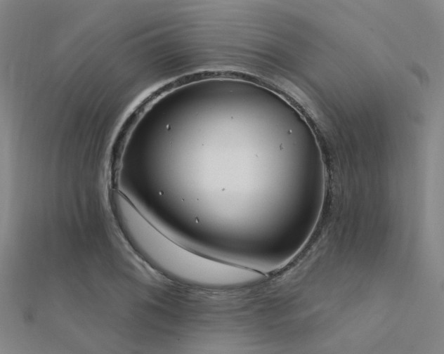X0000112361076200908131451