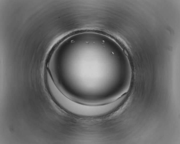 X0000112361077200908131450