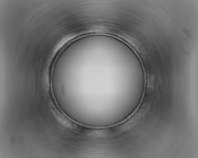X0000112361078200908131450