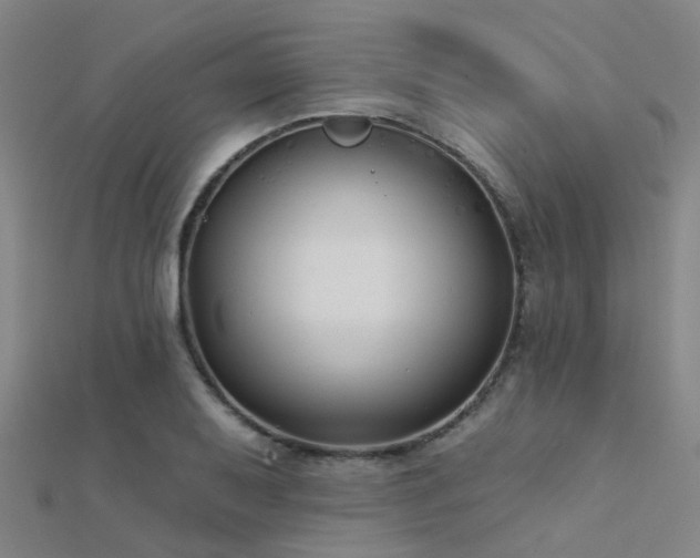 X0000112361079200908131450