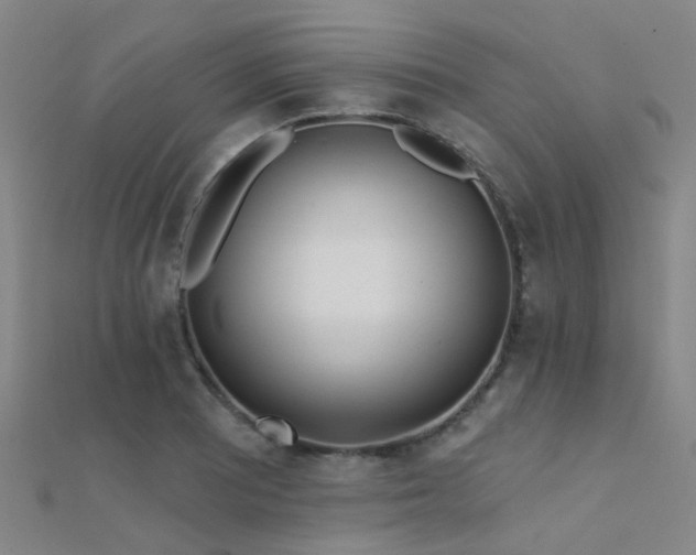X0000112361081200908131450
