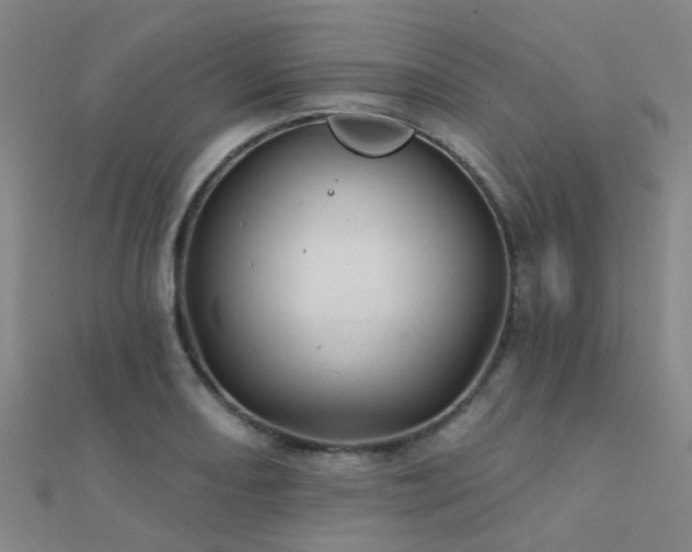 X0000112361082200908131450