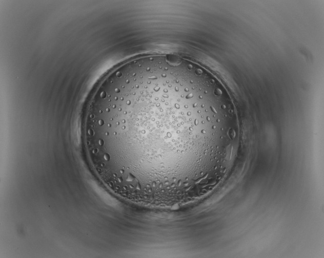 X0000112361083200908131450