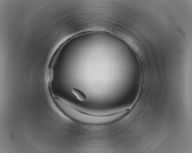 X0000112361084200908131450