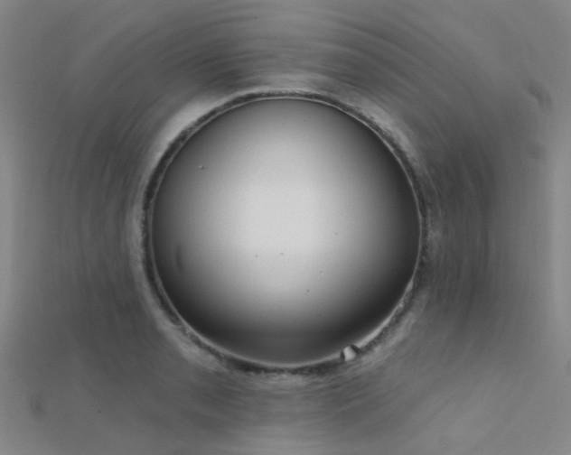X0000112361085200908131450