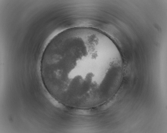 X0000112361086200908131450