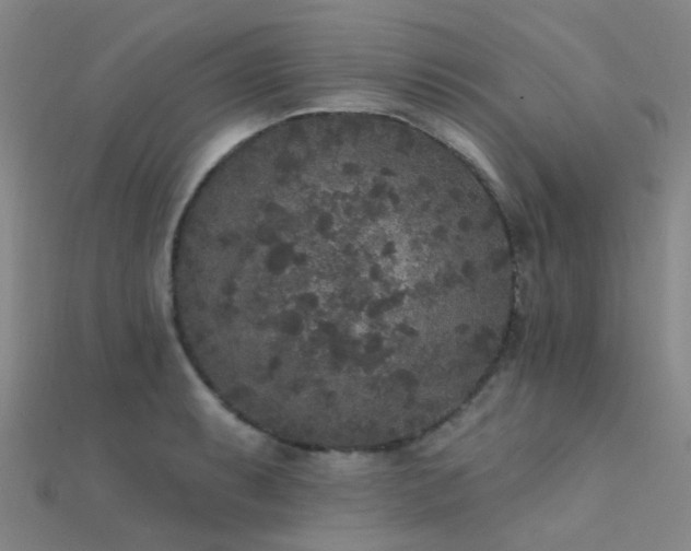 X0000112361087200908131450