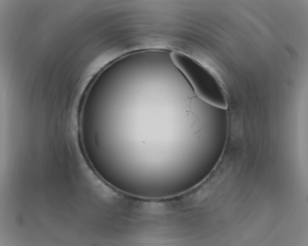 X0000112361088200908131450