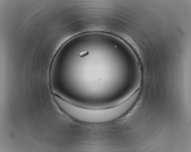 X0000112361089200908131450