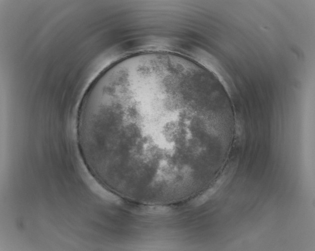 X0000112361090200908131450