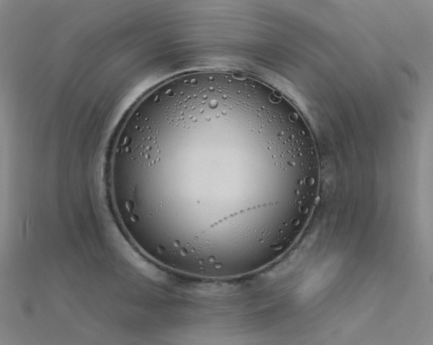 X0000112361091200908131450