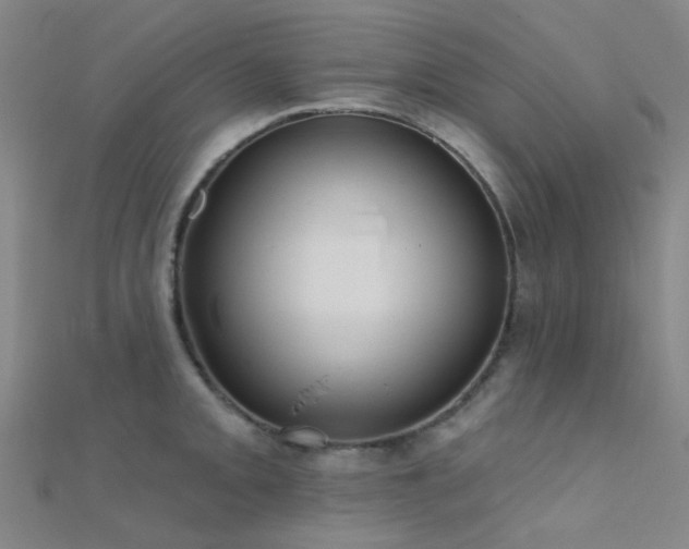 X0000112361093200908131450