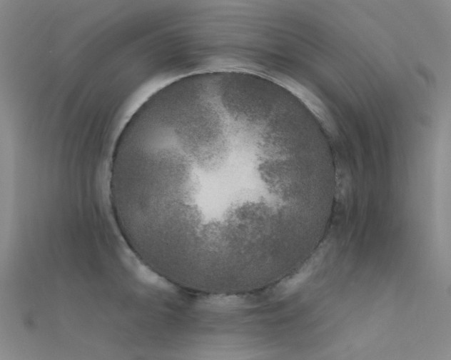 X0000112361094200908131450