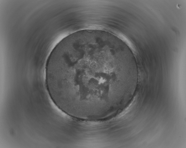 X0000112361095200908131450