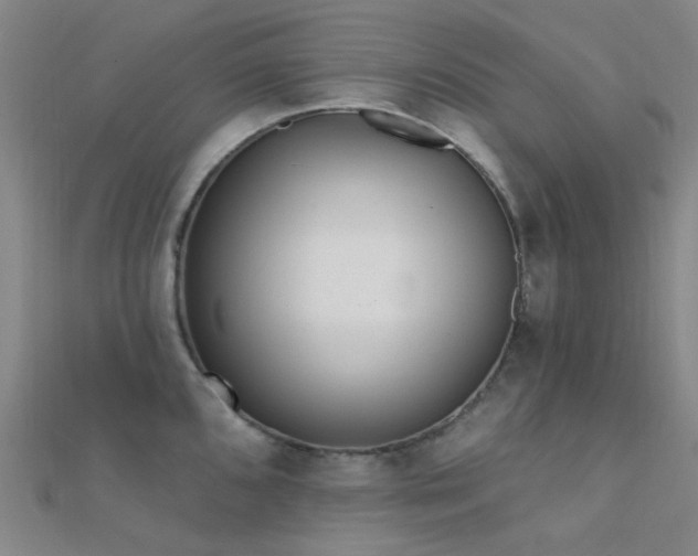 X0000112361096200908131450