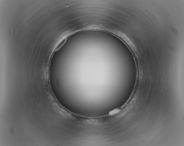 X0000112361097200908131450