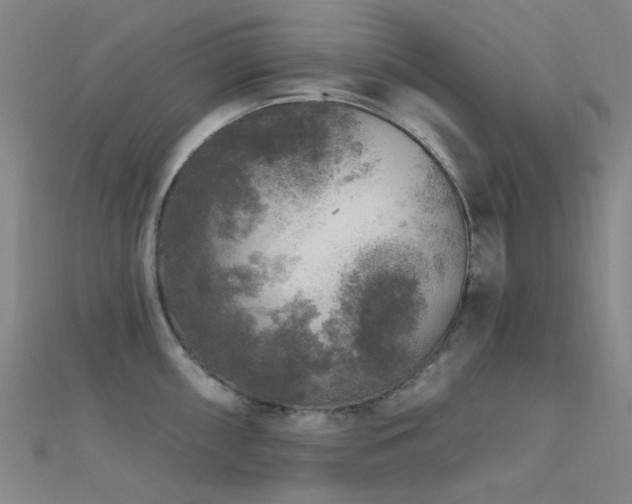 X0000112361098200908131450