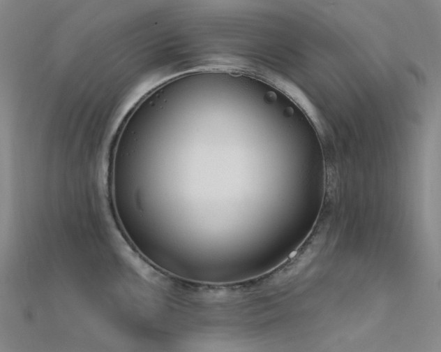 X0000112361099200908131450