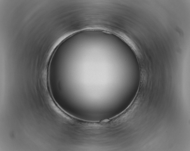 X0000112361100200908131450