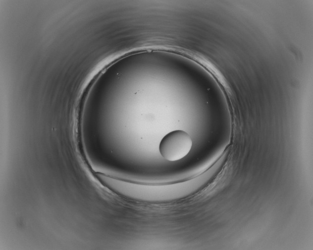X0000112361101200908131450