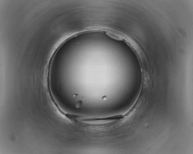 X0000112361102200908131450