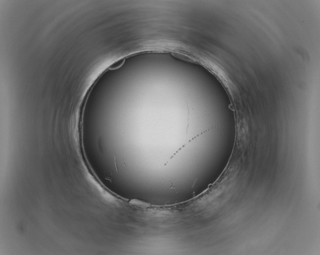 X0000112361103200908131450