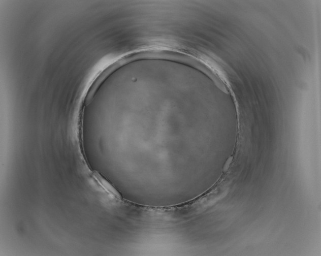 X0000112361104200908131450
