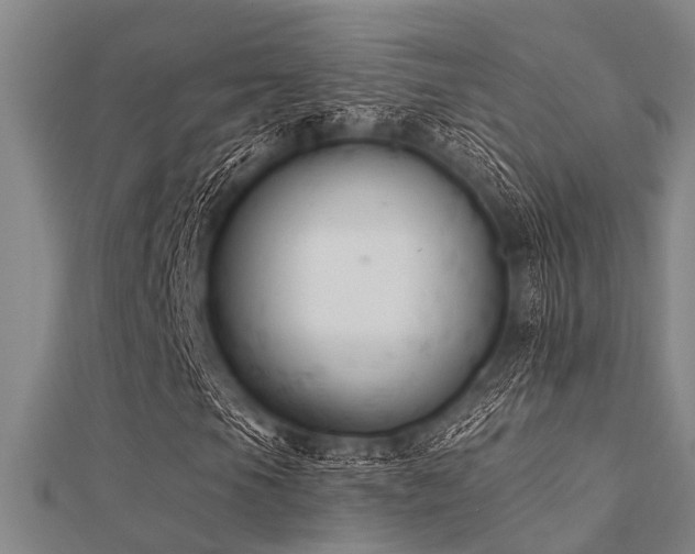 X0000112361105200908131449