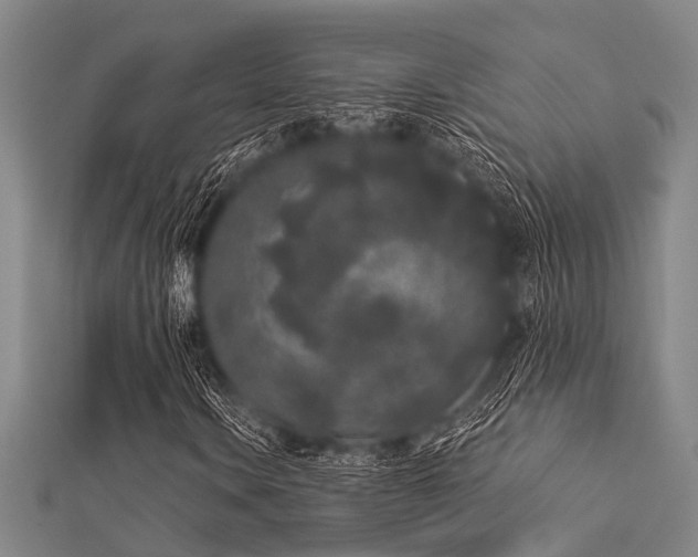 X0000112361106200908131449