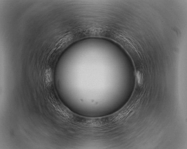 X0000112361107200908131449