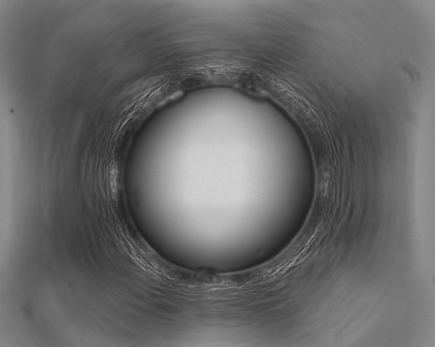X0000112361108200908131449