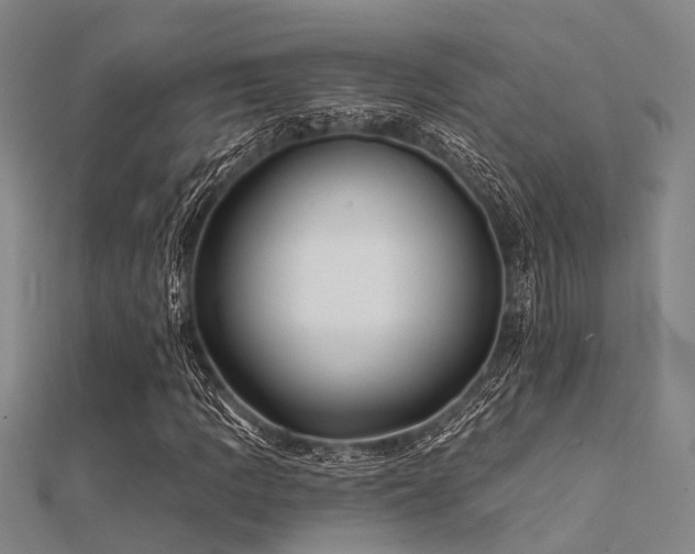 X0000112361109200908131449