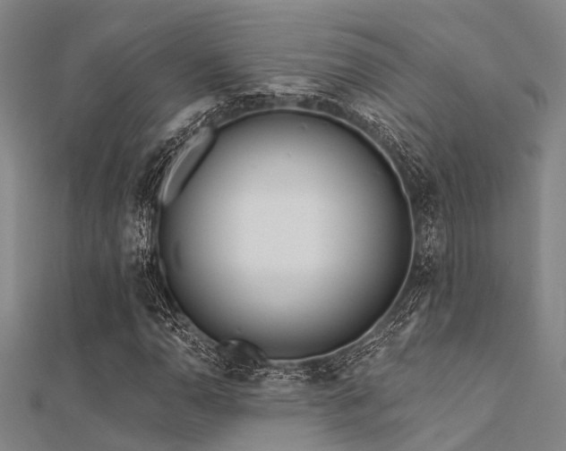 X0000112361110200908131449