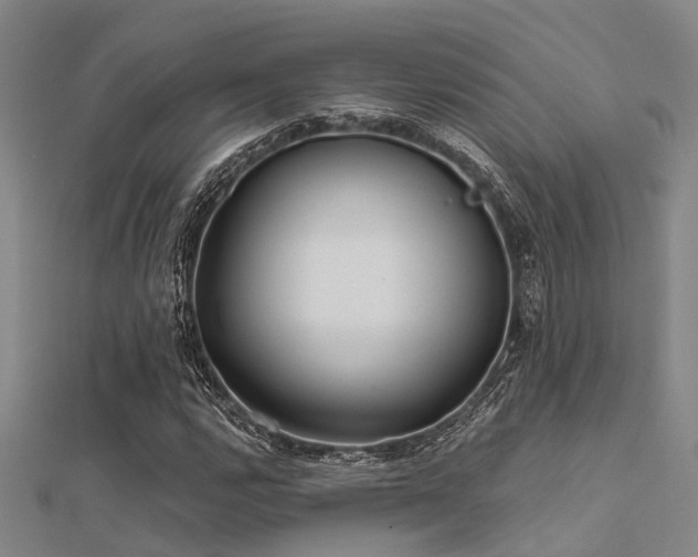 X0000112361112200908131449