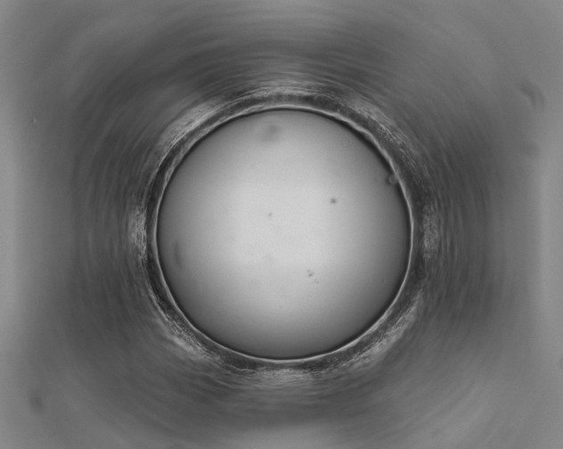 X0000112361113200908131449