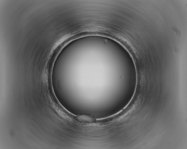 X0000112361114200908131449