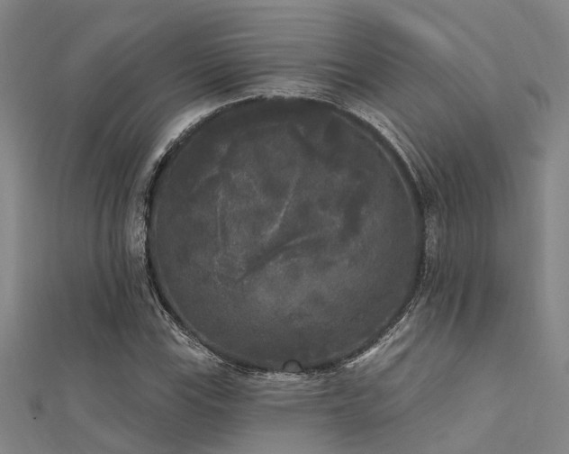 X0000112361115200908131449