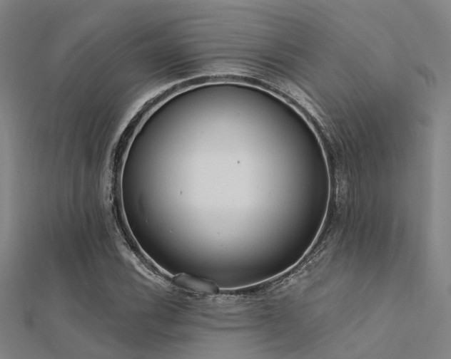 X0000112361116200908131449
