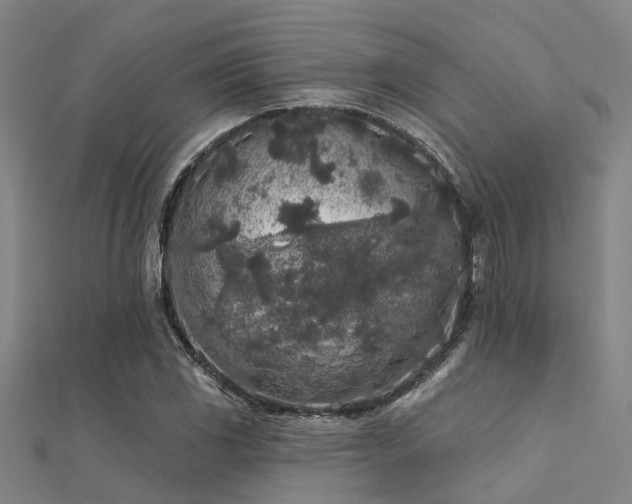 X0000112361117200908131450