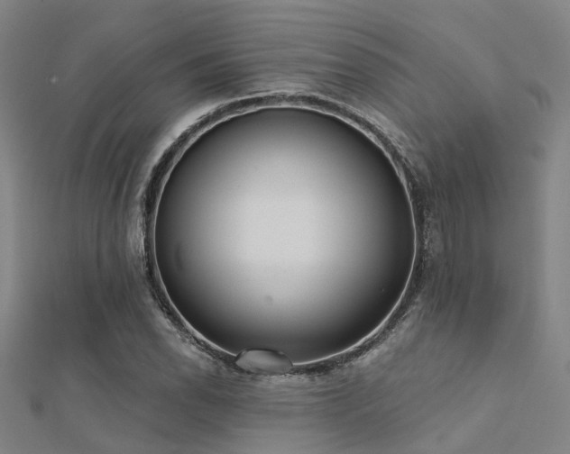 X0000112361118200908131450