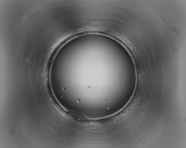 X0000112361119200908131450