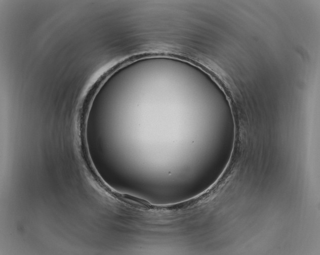 X0000112361120200908131450