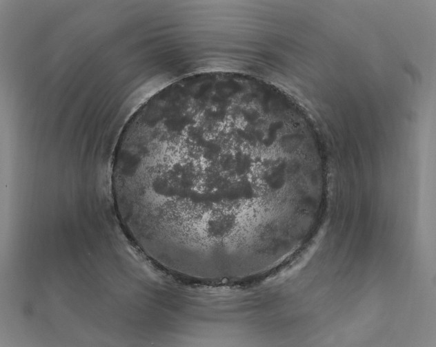 X0000112361121200908131450