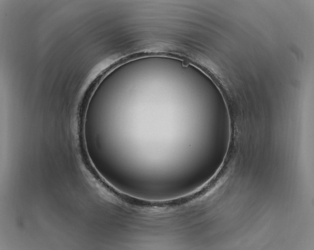 X0000112361122200908131450
